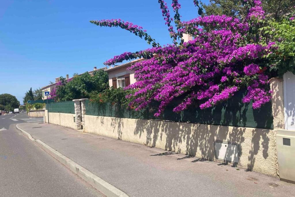 Magnifique Villa Avec Piscine ヴィルヌーヴ・レ・マグローヌ エクステリア 写真